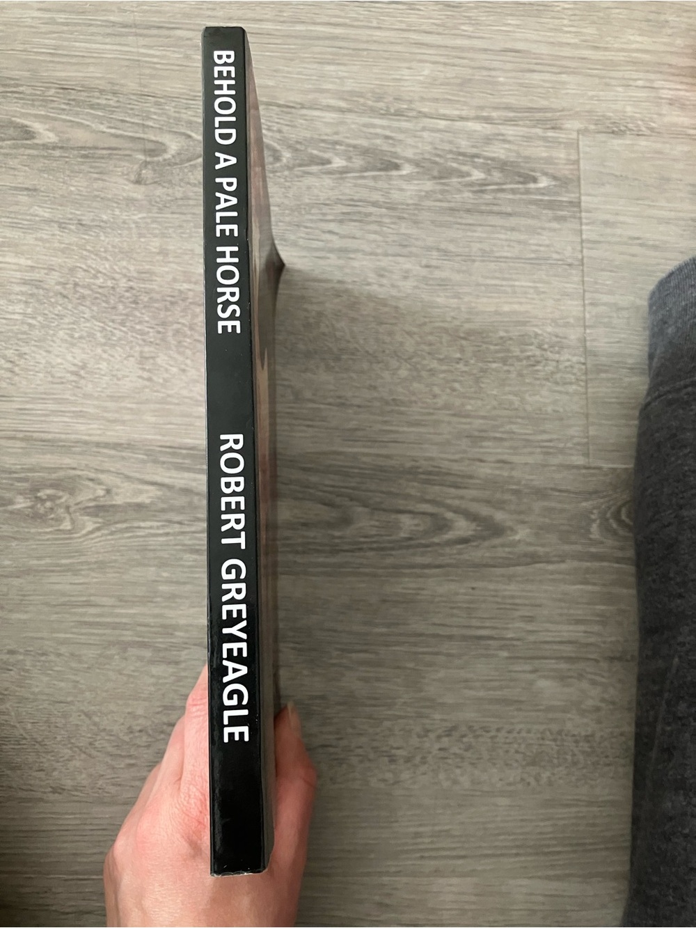 3/$15 Black Decorative Book Accent - Behold a Pale Horse